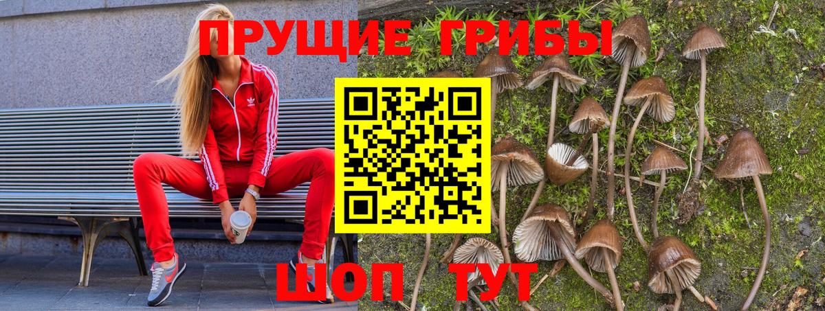 Дедовск  Псилоцибиновые грибы мухоморы  Вход с VPN 